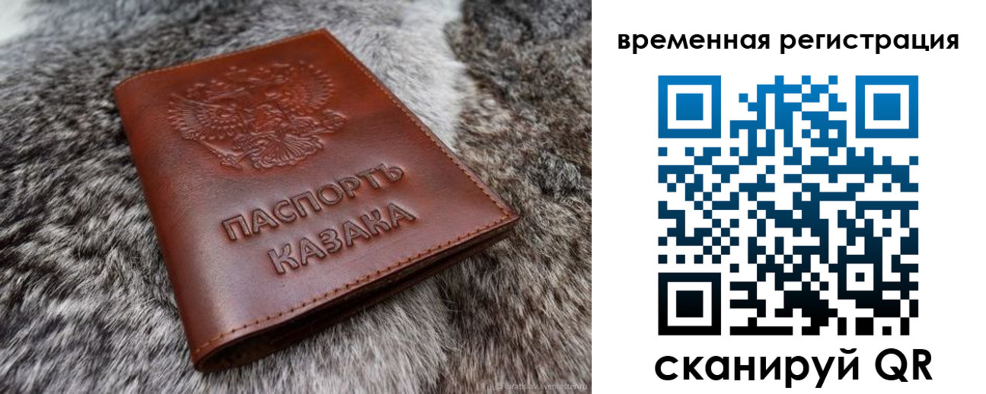 прописка 2025 в Камышлове